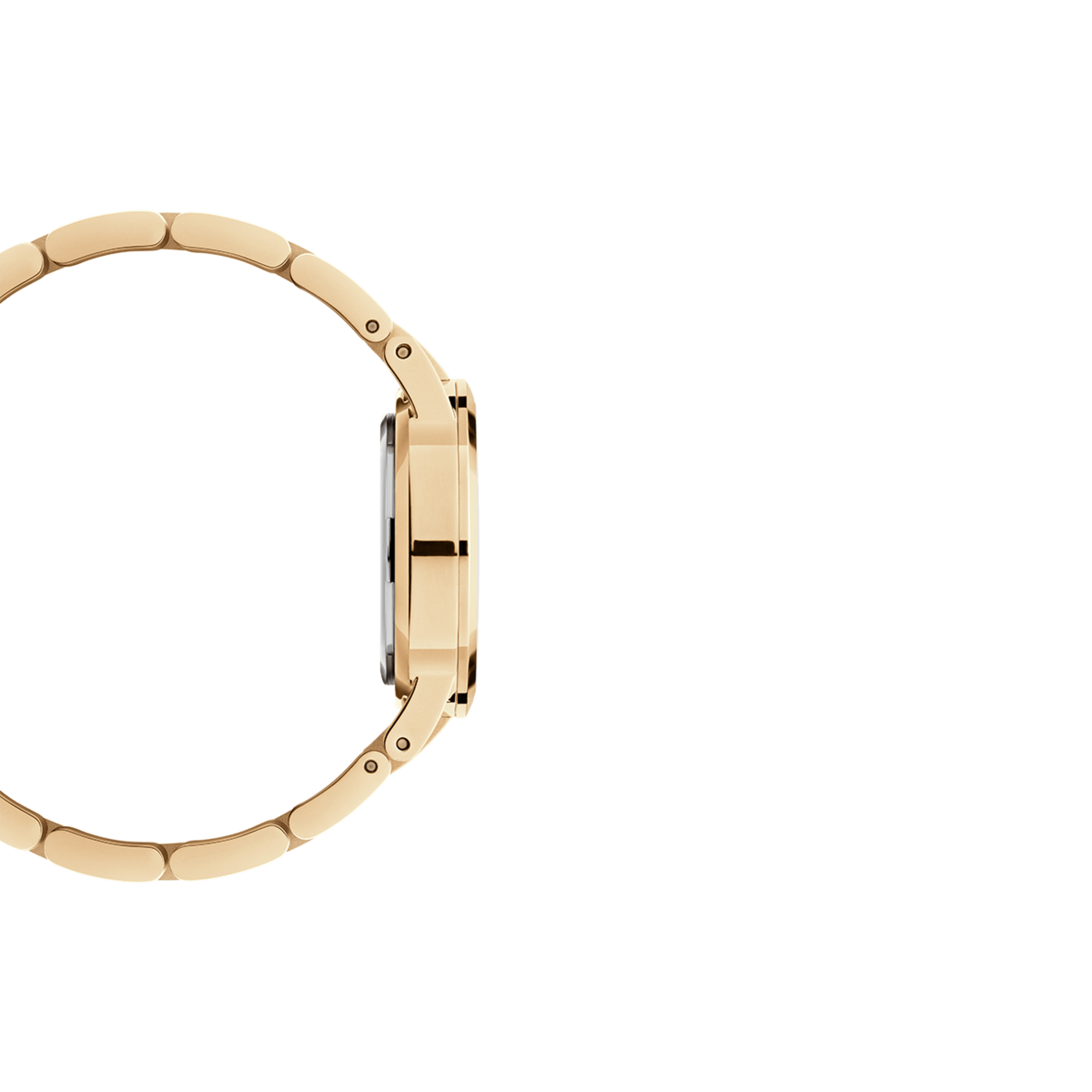 DW Iconic Link Unitone G Watch